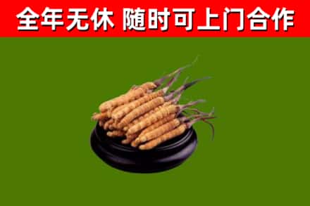 那曲市烟酒回收冬虫夏草.jpg