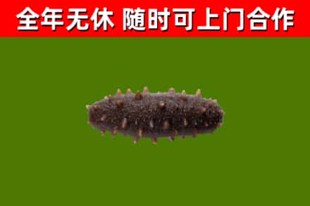 那曲市烟酒回收干海参.jpg